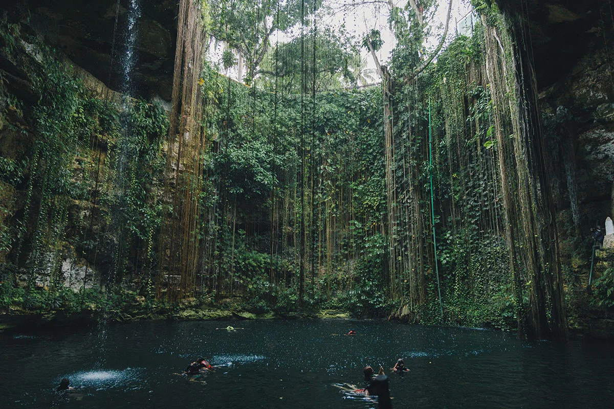 Cenotes: Unique Natural and Cultural Treasures