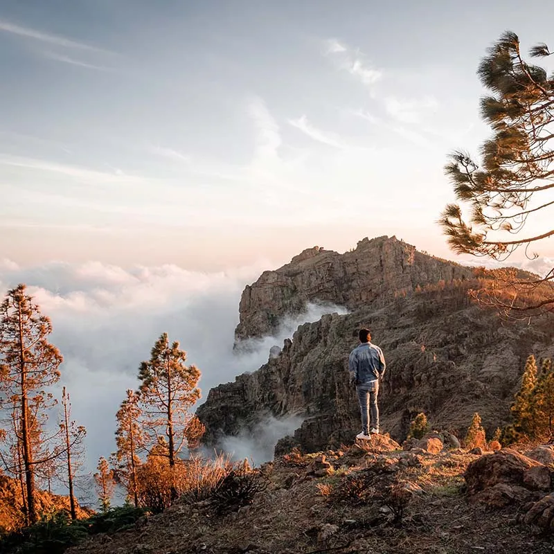 Imagem de destaque de Ilha da Madeira