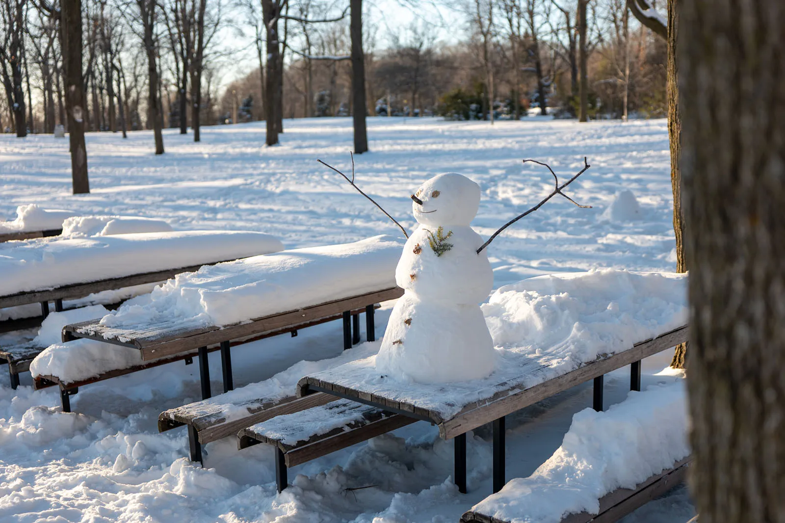 Winter and Ice Experiences