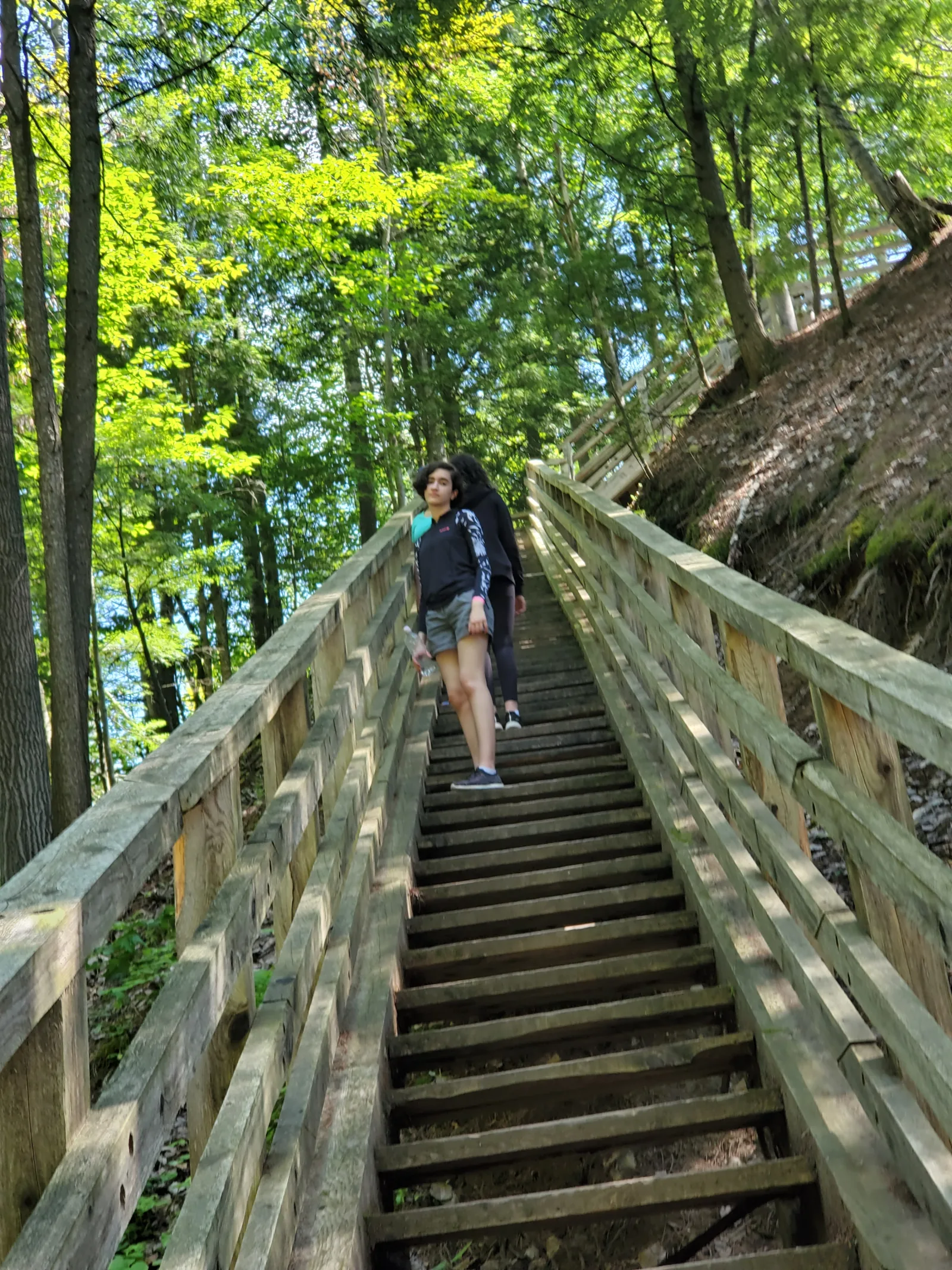 Escalera de madera descendiendo por el bosque en el Parc des Chutes de Sainte-Ursule