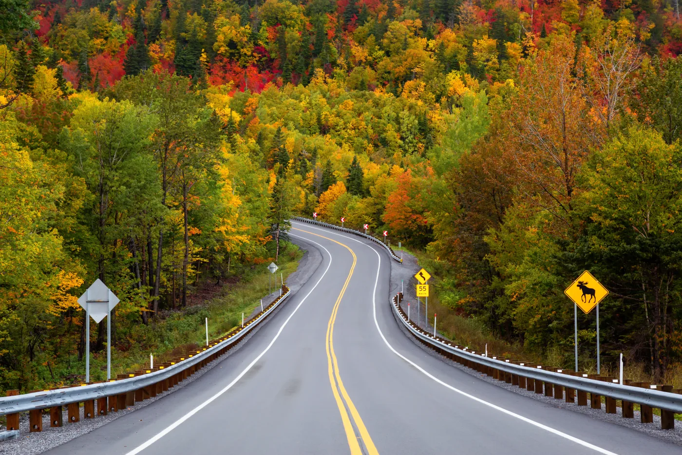 Estrada sinuosa atravessando uma floresta colorida pelo outono em Quebec