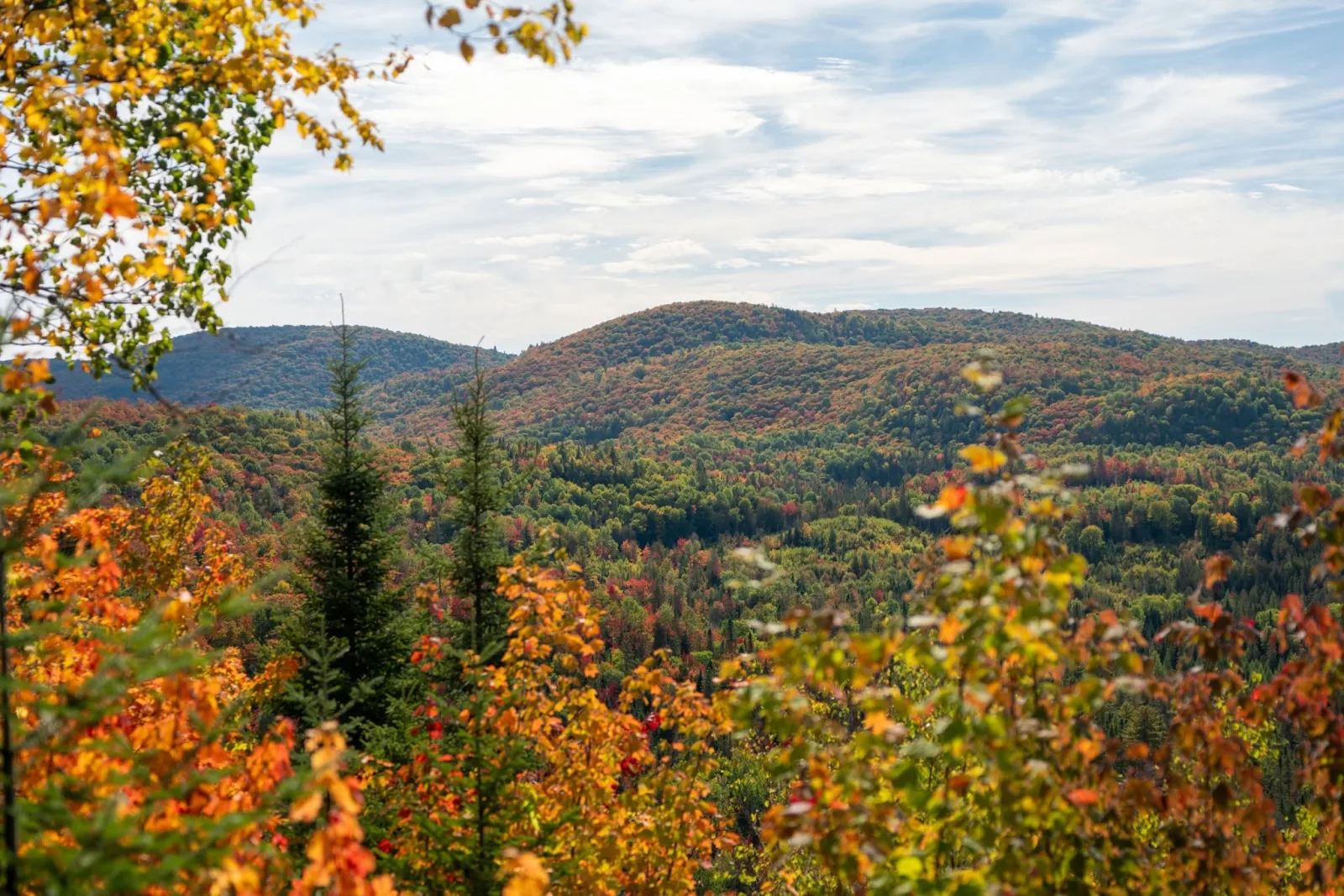 Vista das montanhas cobertas pelas cores do outono a partir do Mont Prud’homme