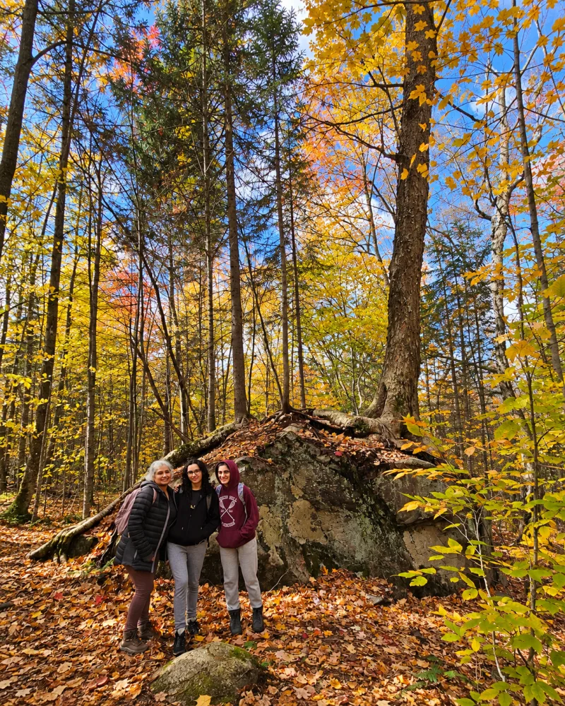 Alice e duas jovens durante a caminhada pela floresta do Mont Sourire no outono