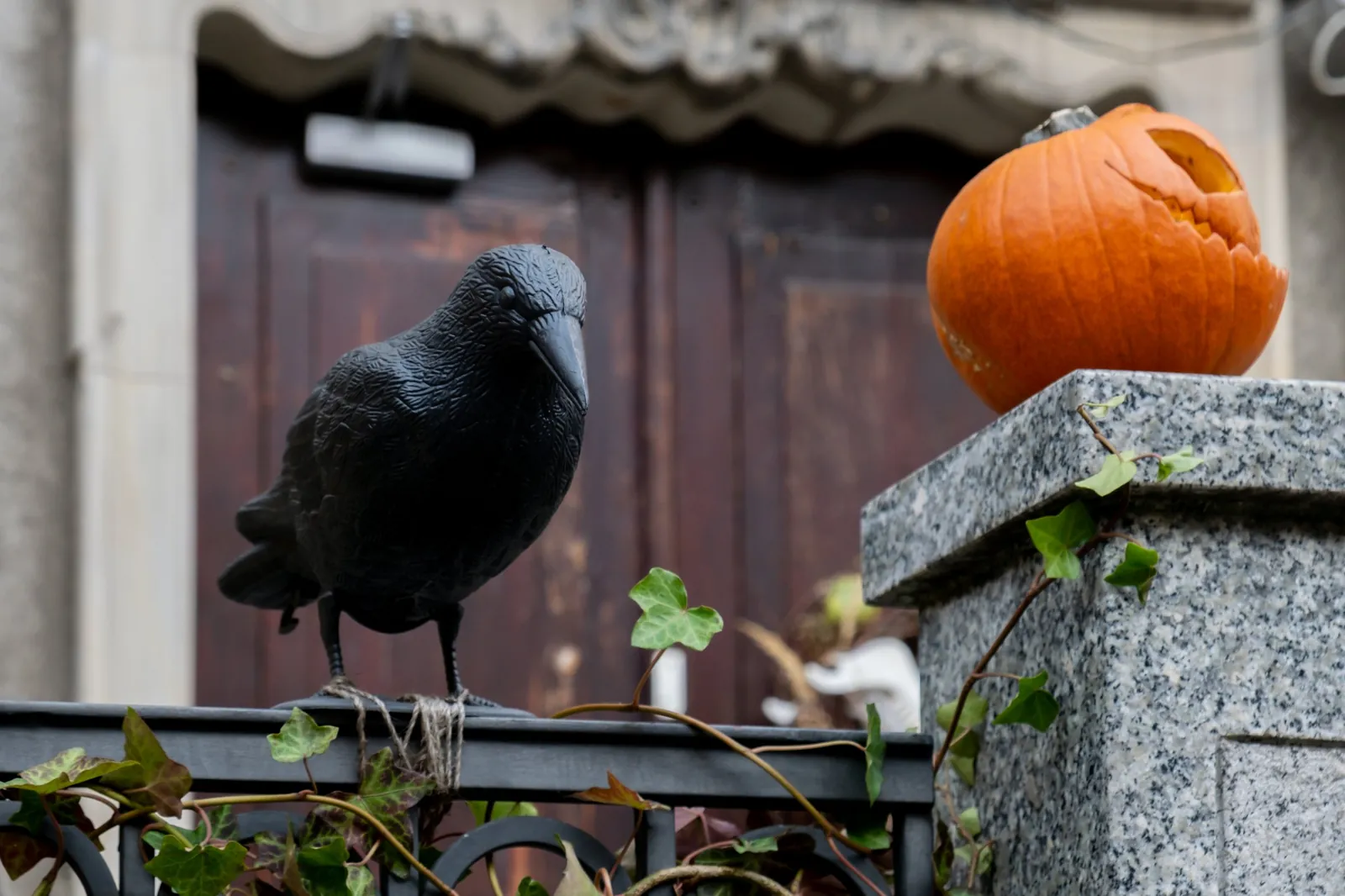 Cuervo y calabaza tallada en la entrada de un edificio antiguo en Halloween