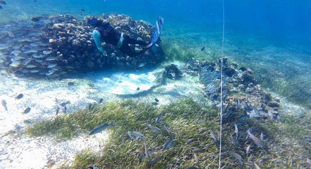 O Passeio Mais Famoso de Cozumel: El Cielo e El Cielito – Vale a Pena Mesmo?