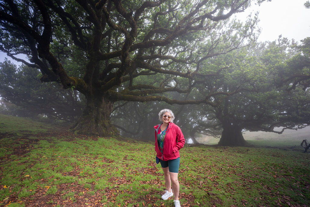 Fanal, Ilha da Madeira Um dos lugares mais fotogênicos do Mundo