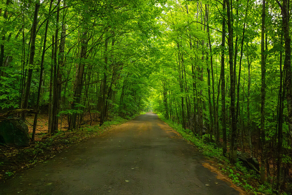 Le P’tit Train du Nord A Melhor Trilha de Bike que fizemos a 1h de Montreal