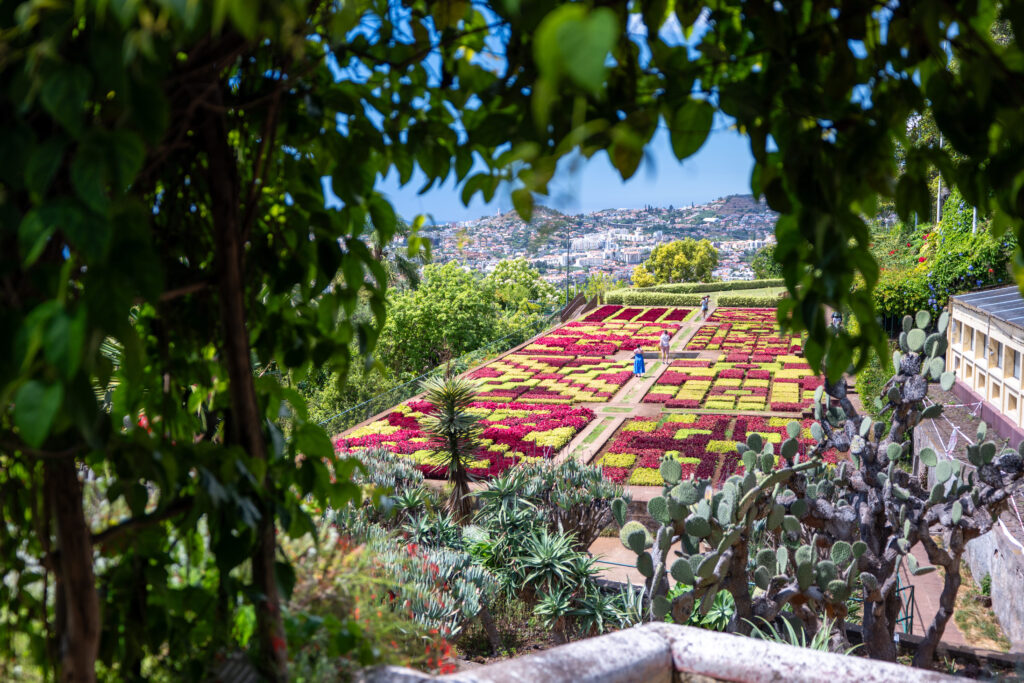 Jardim Botânico da Madeira (Engr. Rui Vieira)