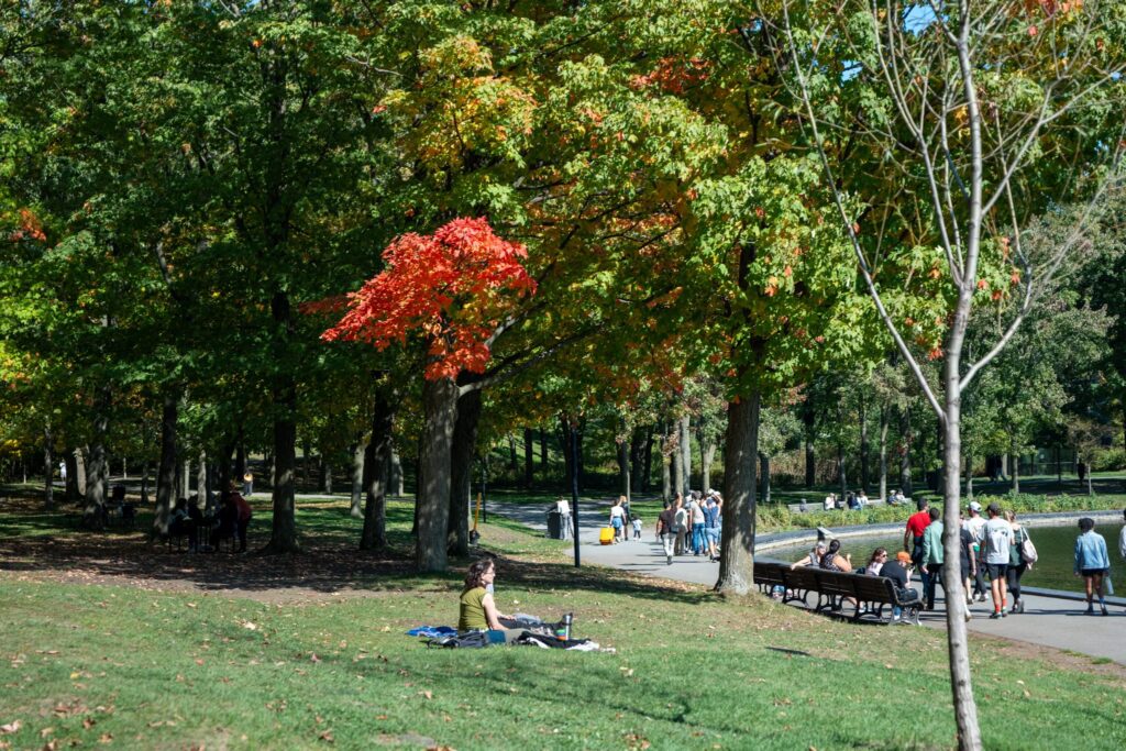 Os 6 Melhores Parques de Montreal: Um Guia Honesto de Quem Mora Aqui (e Vai de Bike) 6 Mont-Royal