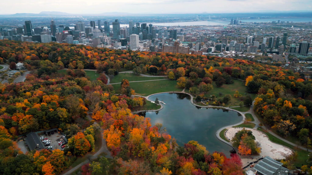 Os 6 Melhores Parques de Montreal: Um Guia Honesto de Quem Mora Aqui (e Vai de Bike) 8 Mont-Royal