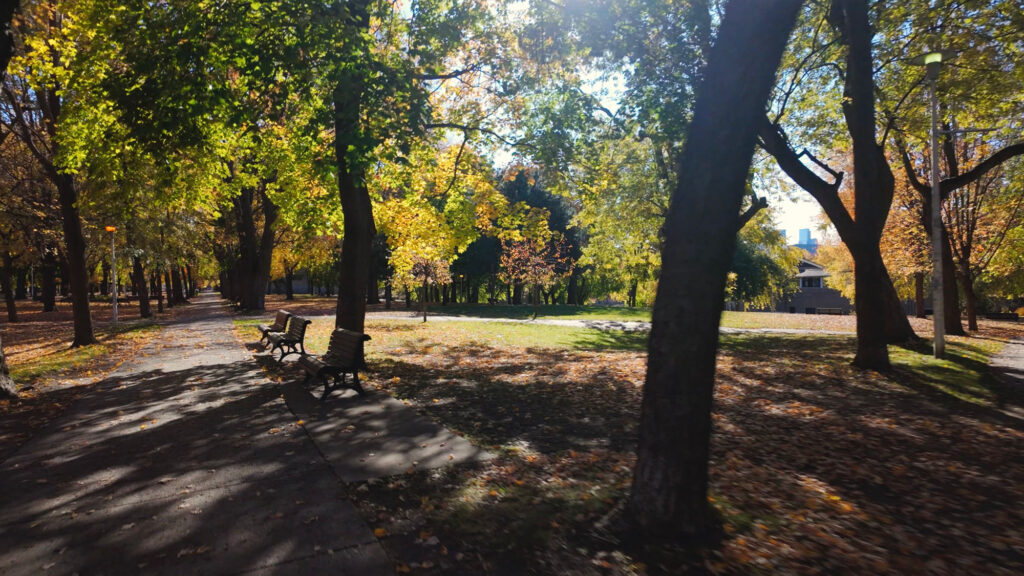 Os 6 Melhores Parques de Montreal: Um Guia Honesto de Quem Mora Aqui (e Vai de Bike) 13 Parc La Fontaine