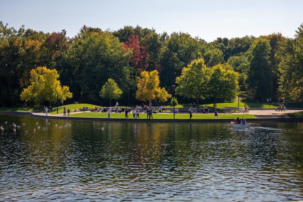 Os 6 Melhores Parques de Montreal: Um Guia Honesto de Quem Mora Aqui (e Vai de Bike) 7 Mont-Royal